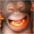 WilliamHit